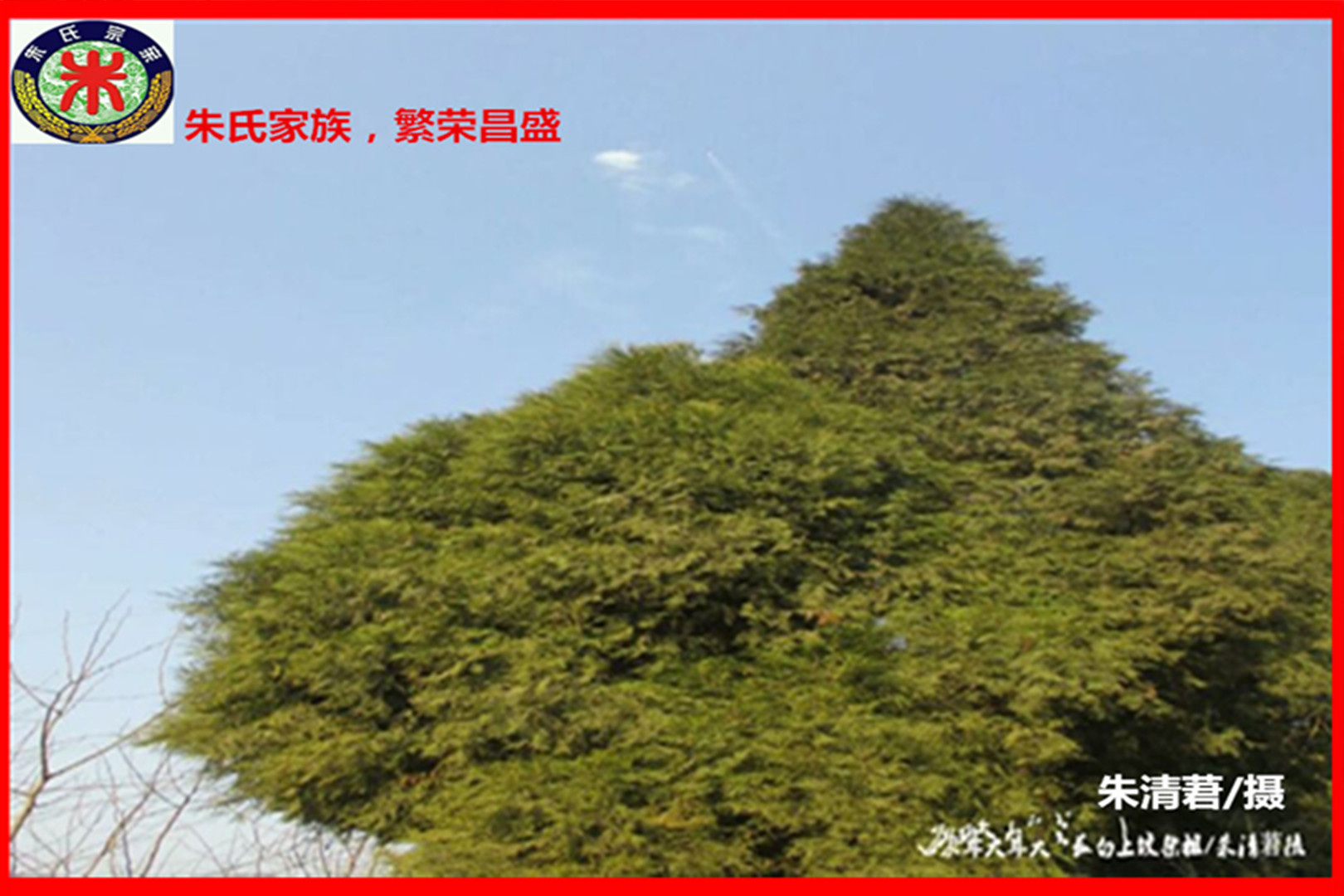 朱氏家族，繁荣昌盛.jpg