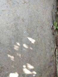 IMG_20180505_165334.jpg.JPG