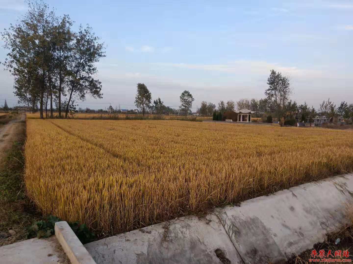 微信图片_20181116171511.jpg